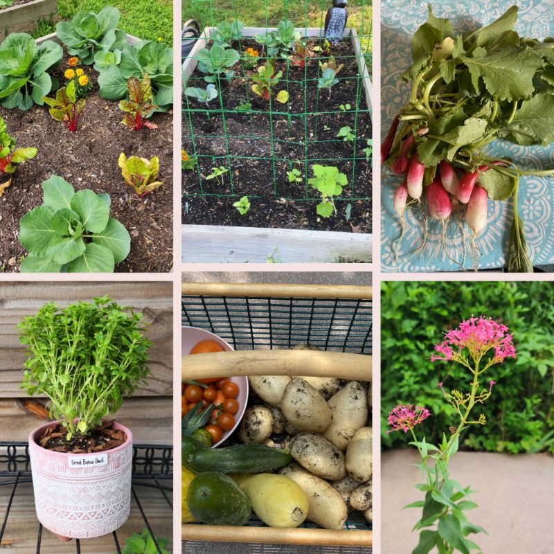 Garden collage