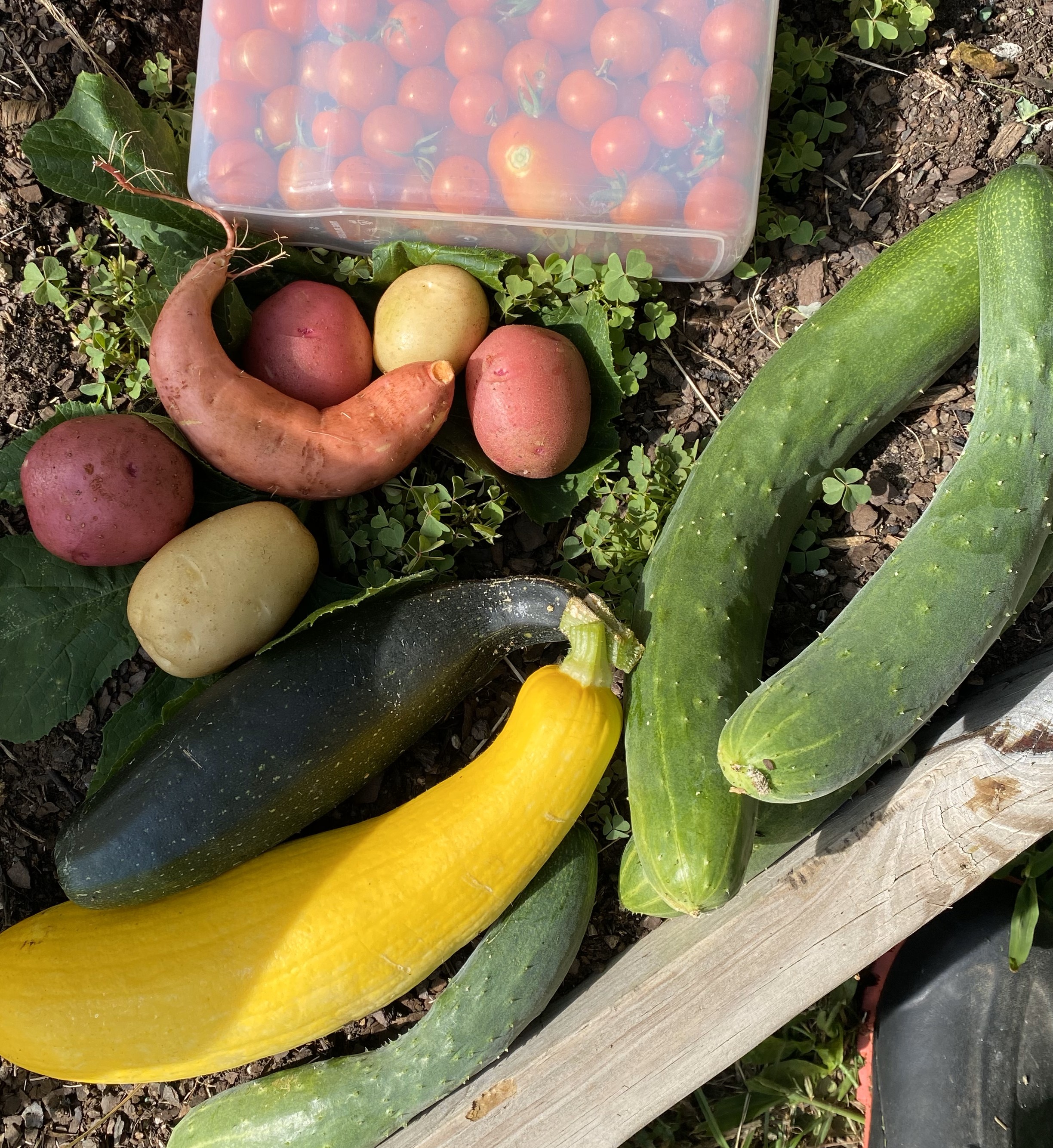Vegetables